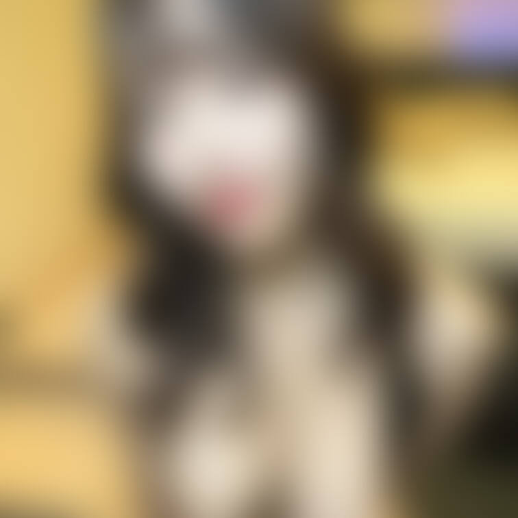 押しつぶされてるおっぱいがれいのお気に入り💓
どれがすき🤭💓？