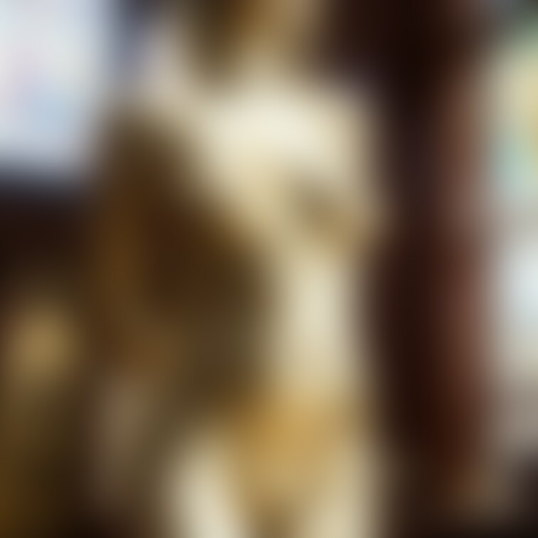 金粉結婚式 / Wedding of golden bodypainted girl (part1)