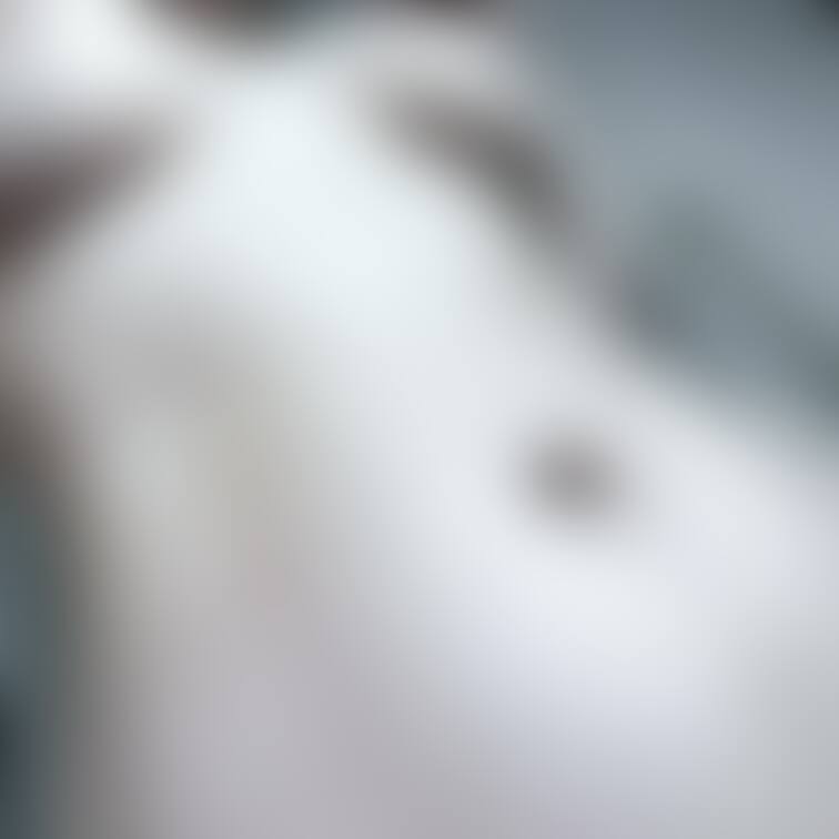 とりました！

あえての脇😶