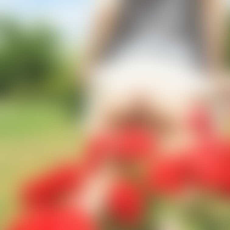 夏の思い出