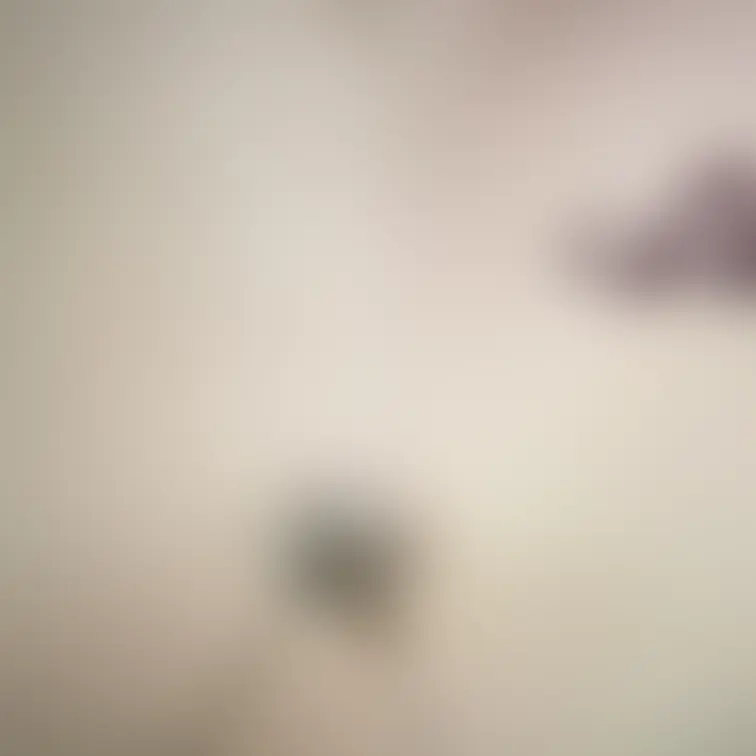 淫紋シール貼ってみたよ♡