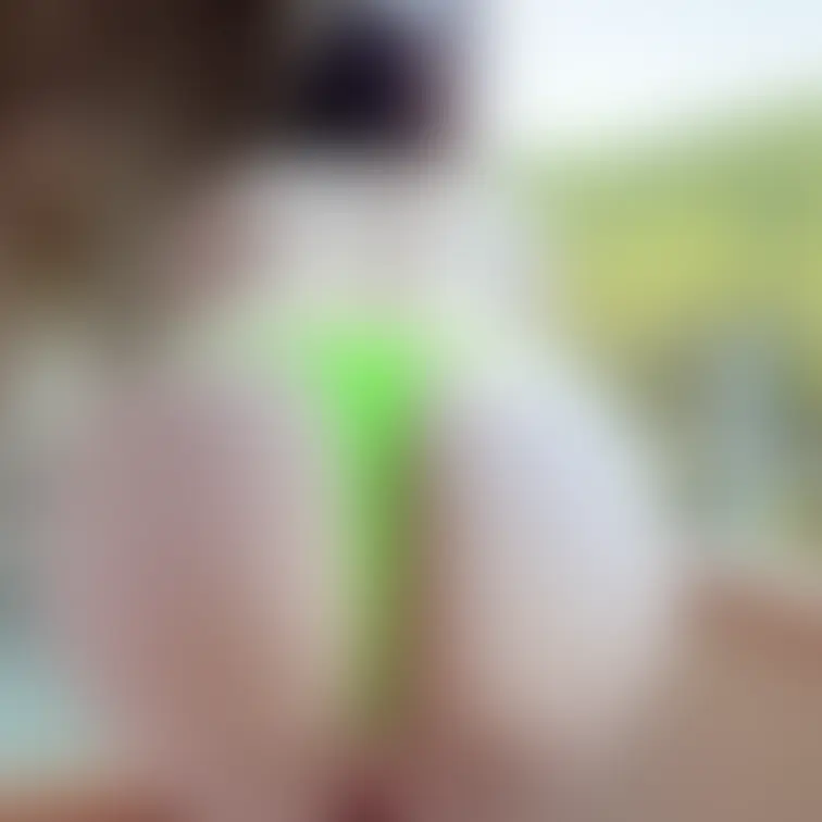 ビジリーグで準美尻クイーンをいただいた写真の正面の顔です🍑