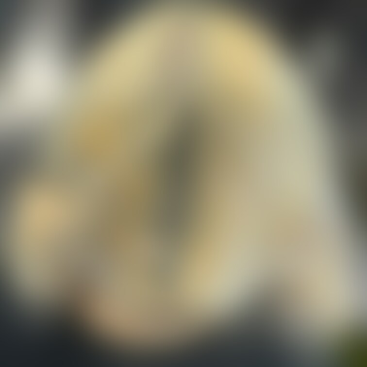 金髪センター分け目ギャル☺️
また会えたら🥰
