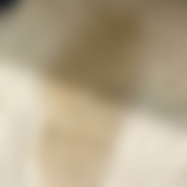 先ほどの🤭