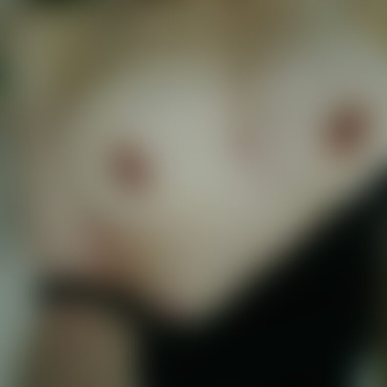 Xの隠してないバージョンだお🐶🐾