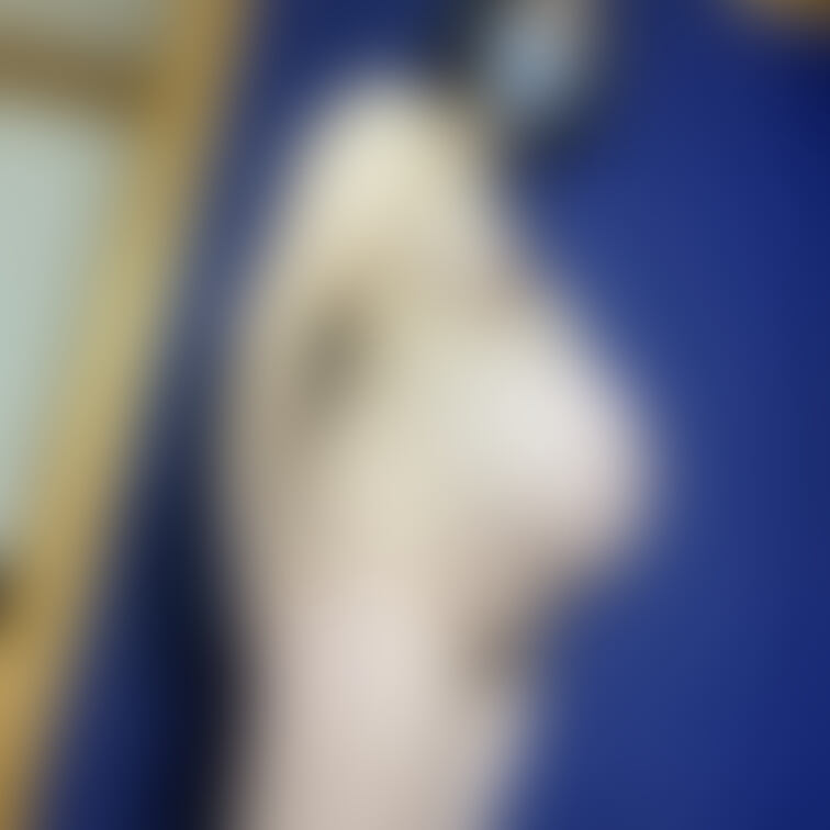 ○○○声優国宝妊婦ののかちゃん（臨月）