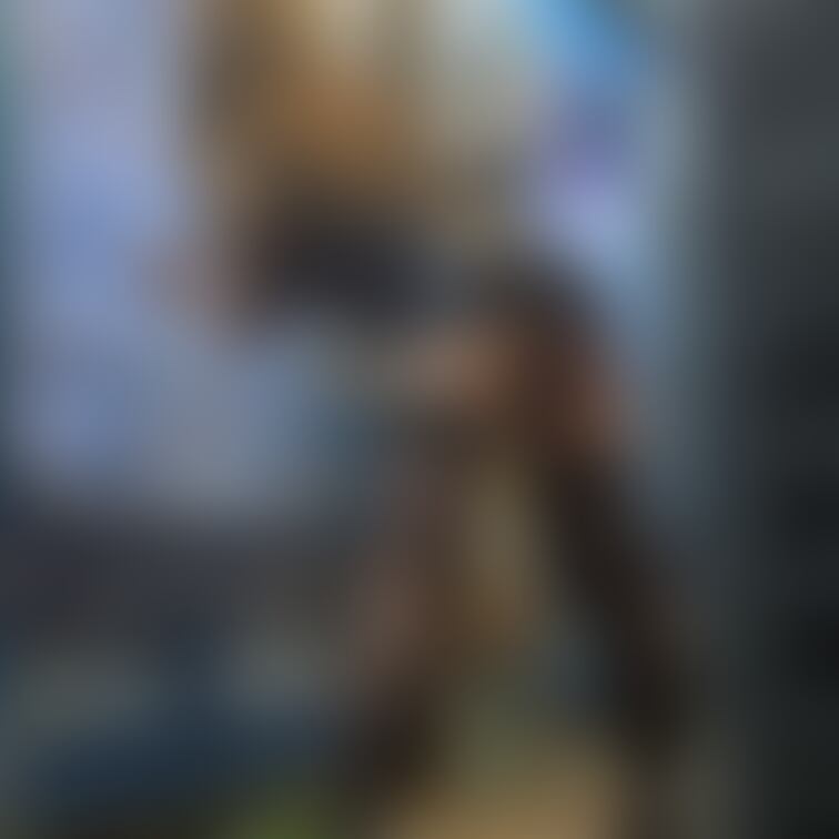 コッソリ堂に行ってみました📸
残念ながら…誰にも遭遇なし💦💦見かけたらお触り🆗
