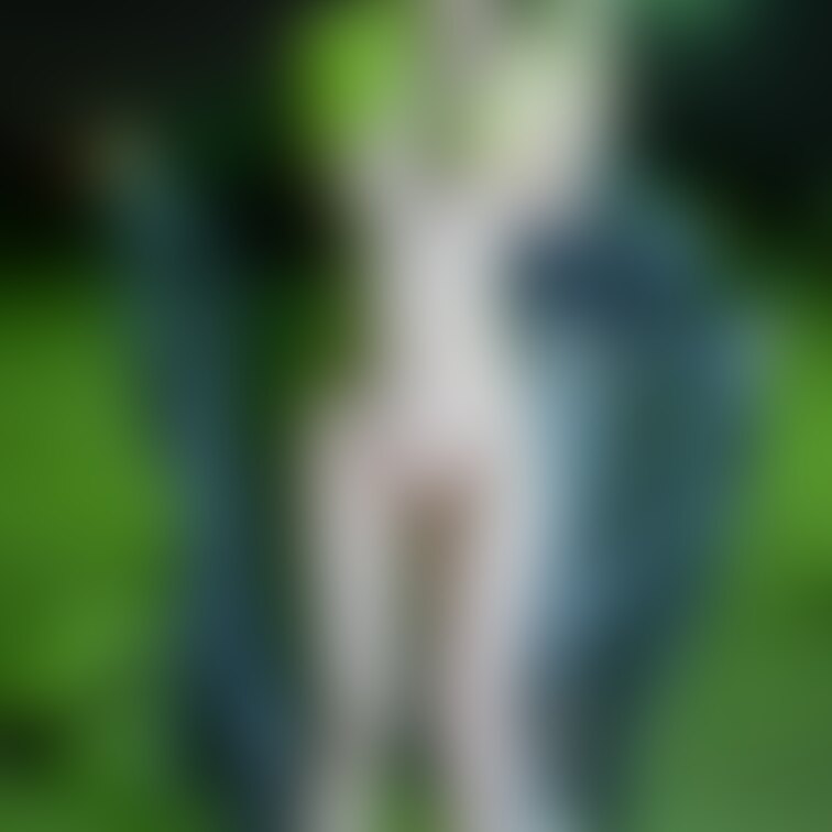 来月くらいかなぁ？？
ハメ撮り出すと思います☺️