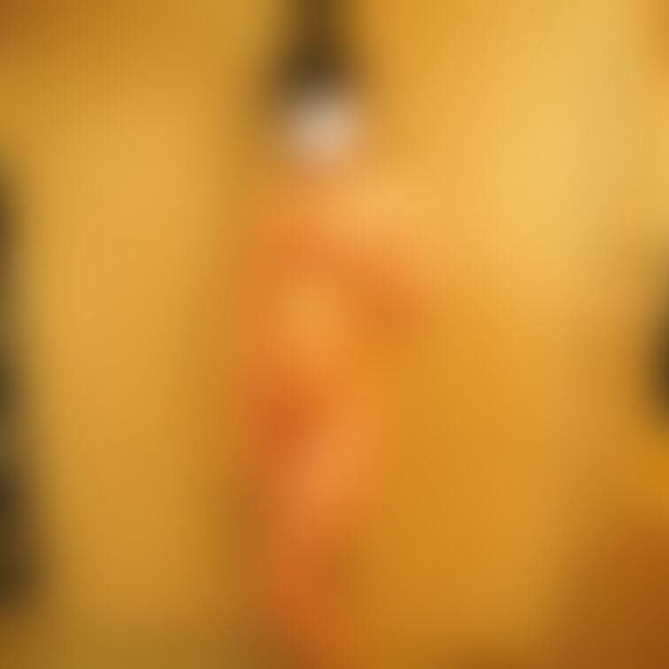 新シリーズ。オフ会参加の一般女性をホテルで撮影してみた、です。撮影だけで何もしてません。