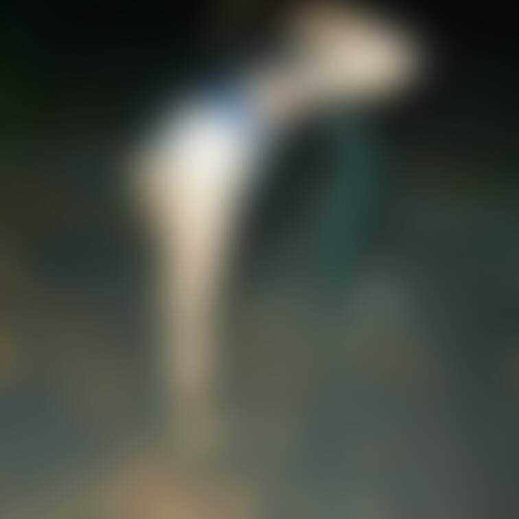 やっぱTバック好き🍑