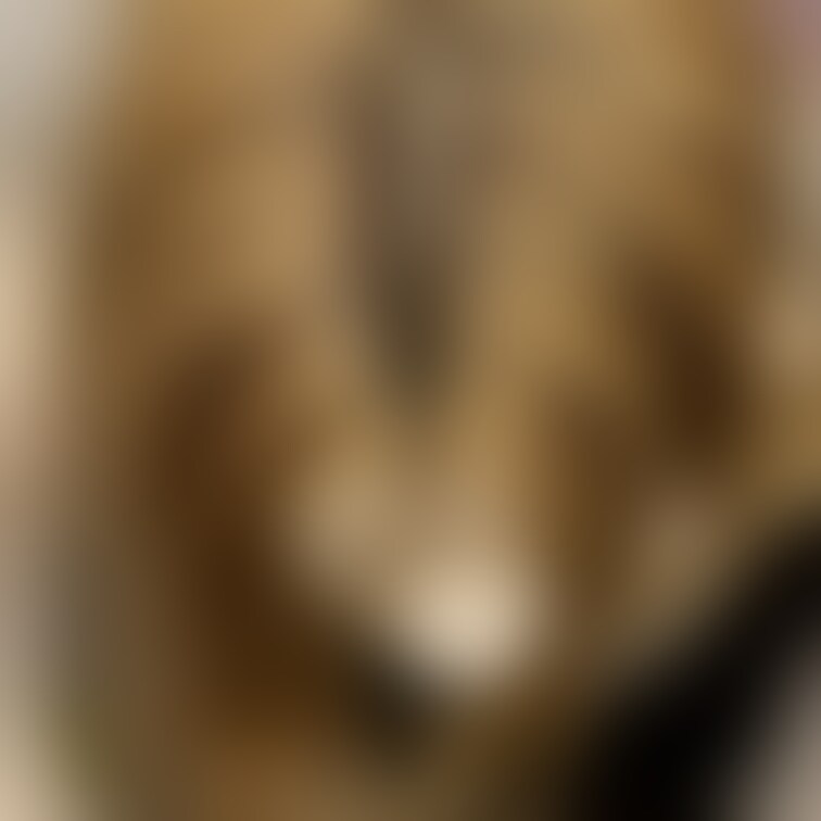 前から気になってた女子大生と分け目デート🥰
お願いしたら、お辞儀見せてくれました☺️