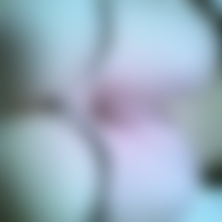 おっぱいと太ももです🥰
触ってください