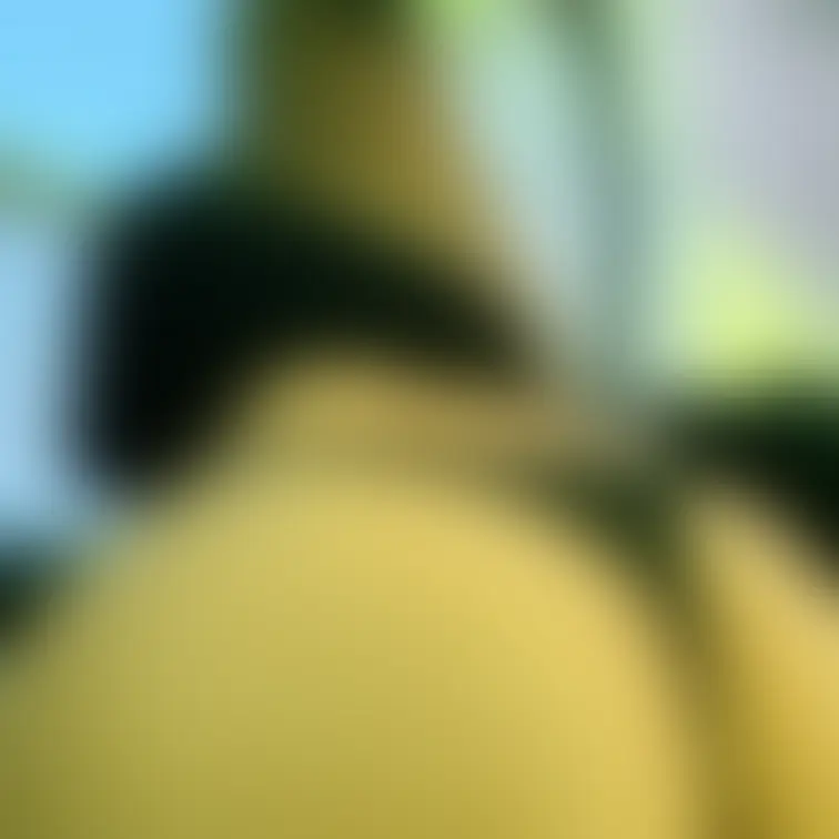 「POV」
キャンプに来て周りを確認中…🩷