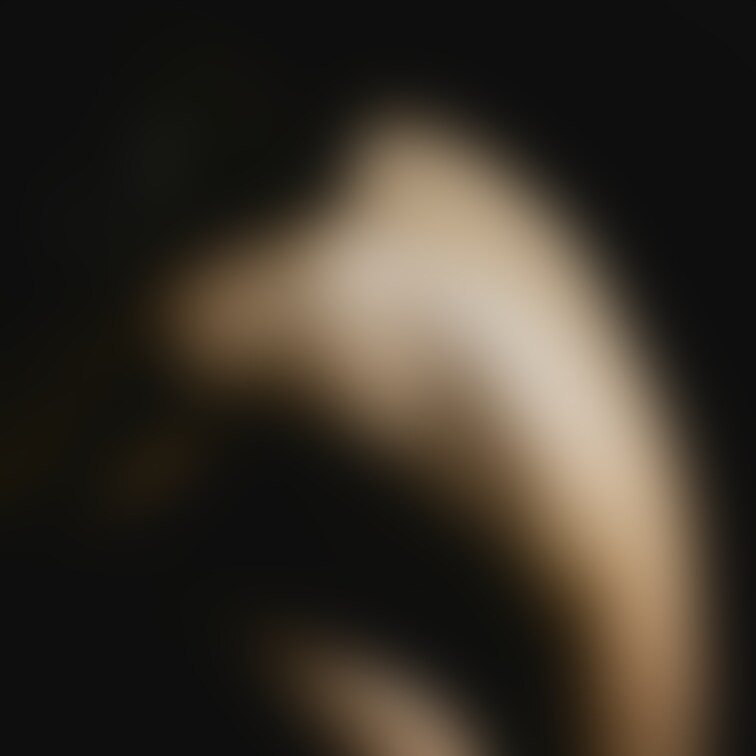 じつは、こんな感じのnudeを撮ってもらってて。。

紙の写真集にはしないけれど
いつかデジタルに出来たらいいなぁ