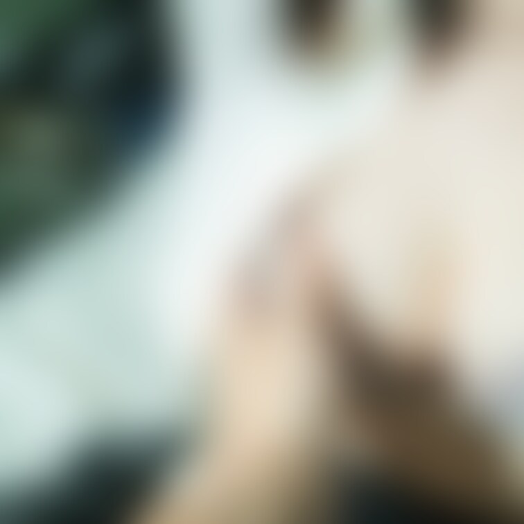 【3枚あります】
おっぱいもみたい日、ありますよね!
それが今日です!!!
いいね👍お願いいたします♥