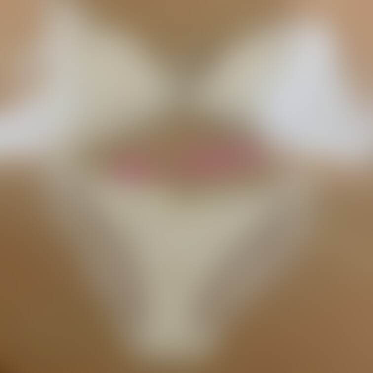 肉厚豊満妻の脱ぎたて下着をのぞき見🫣