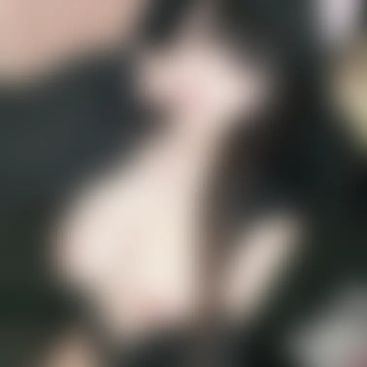 にゃんにゃんのひ🐈‍⬛