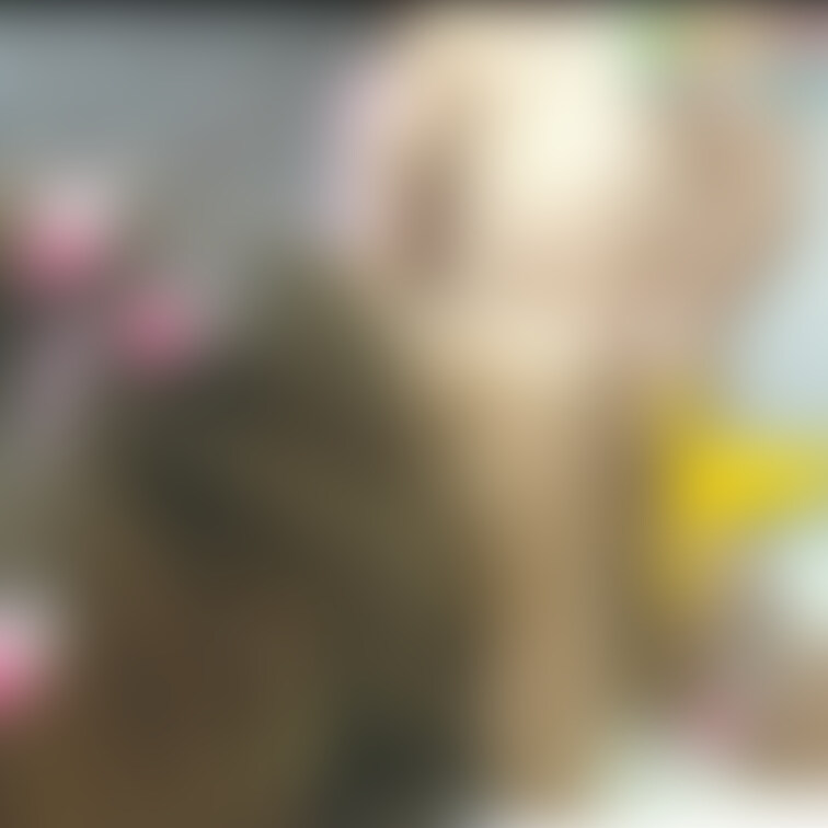 午後の性行為❤️
こちらのギャルは「中出し画像＆動画集」ど性行為動画配信中です❤️