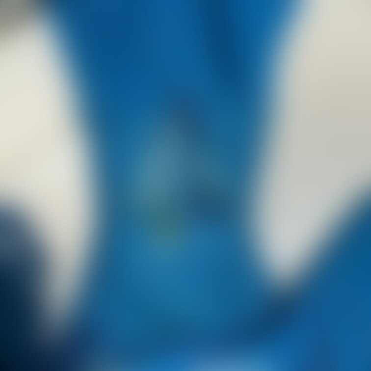 汚れ:★★★★⭐︎
🎍Azの2024年・初汚ぱんつ🎍
しっかり汚してくれて今年も期待大🤣✨