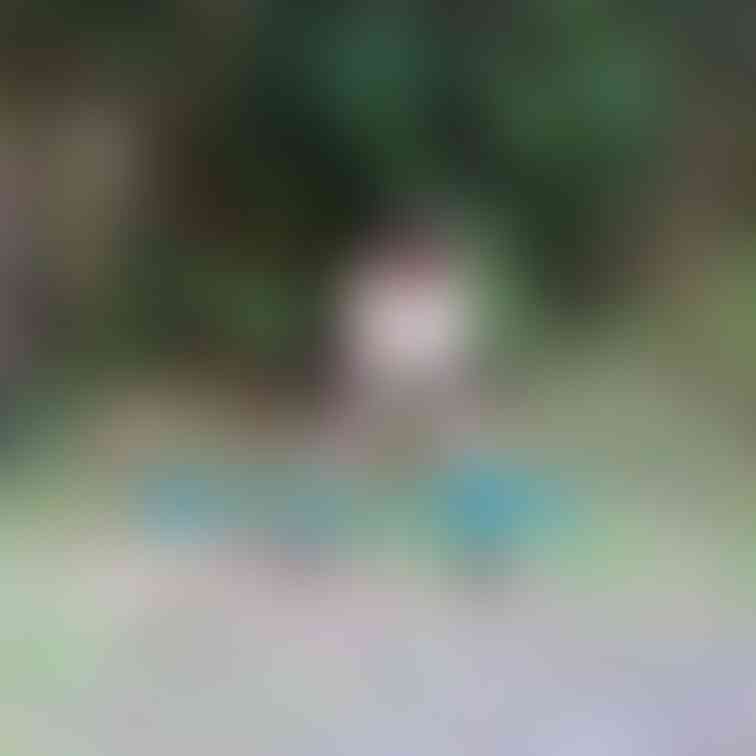 Twitterに載せた写真のスタンプ無しを無料公開中です。
この時の動画はお手軽プランで見ることができますよ💕