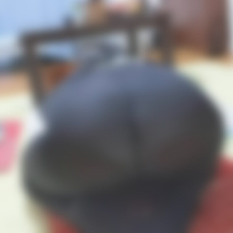 ただただ大きいおしりを