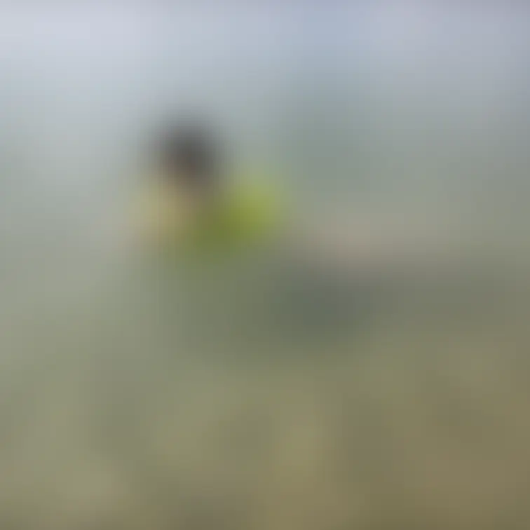 去年の夏を全部見せ【メイキング】
完全オフショット、ただの海水浴ですが､､､😅😅😅
プラン加入の亜紀マニアさんだけは