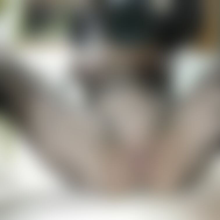 秘密の写真