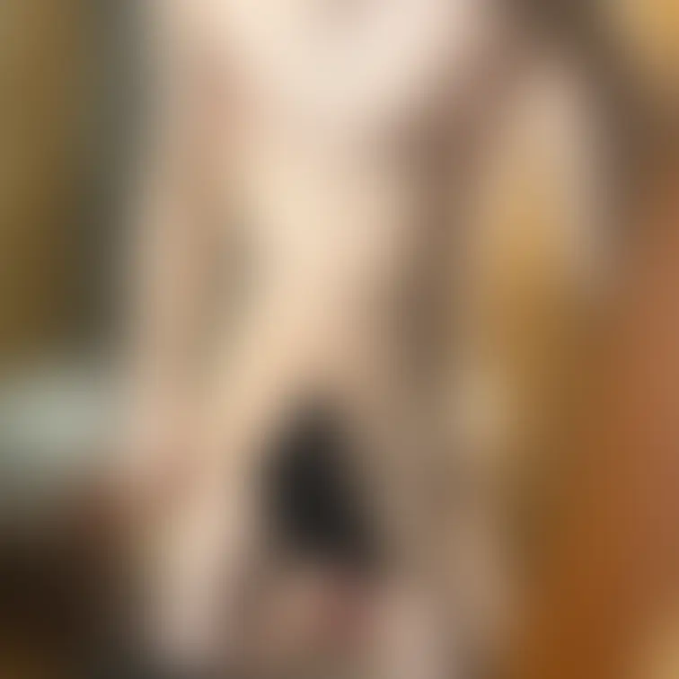 色々あげるのでぜひ無料のプラン入ってみてください