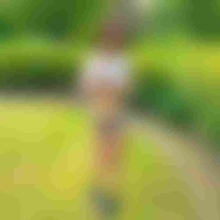 青空の下、素敵な緑