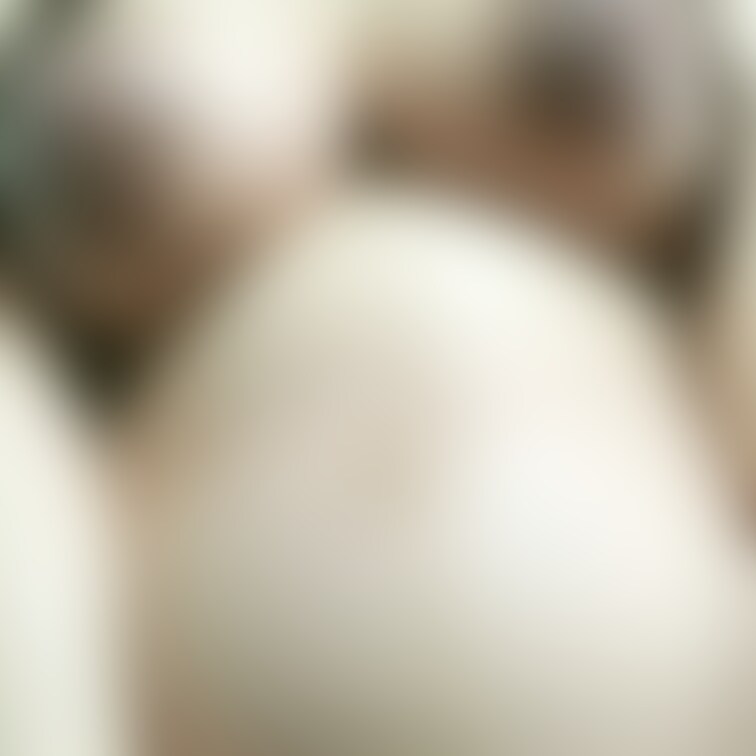 おっぱいとお腹💋
陰毛チラ見え//