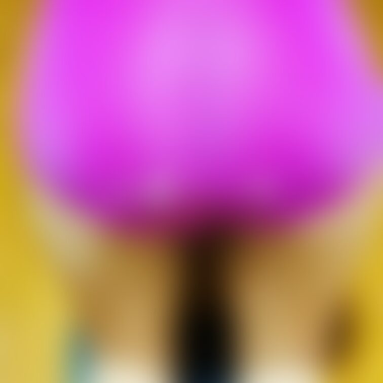 おかずになりますか？