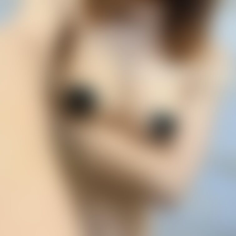 シールは剥がさないでくださいね♡