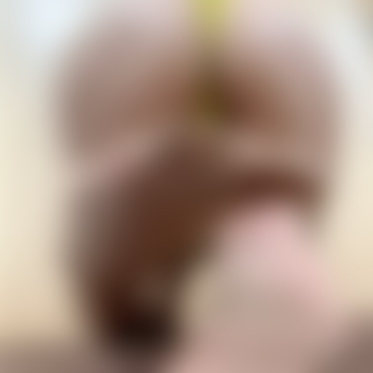久々の投稿🙏
有料会員様向けて動画もアップしてます!!
このショーツ購入希望の方は金額記載の上
ご連絡下さい💕