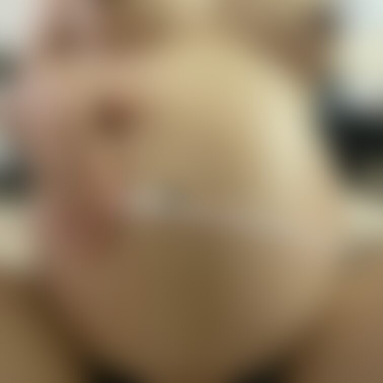 お腹周りは96cmです！
もう少しで出産...