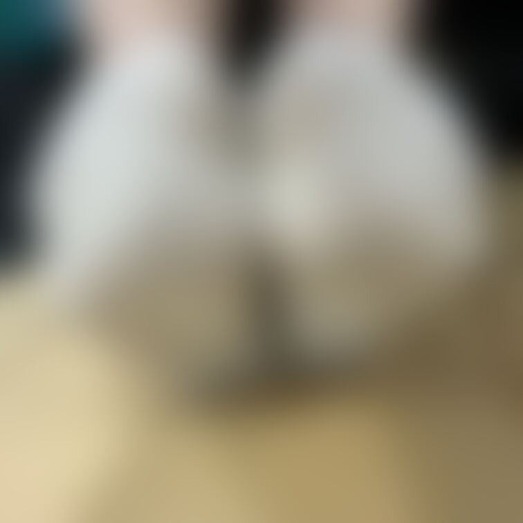 売り子応援プラン📣