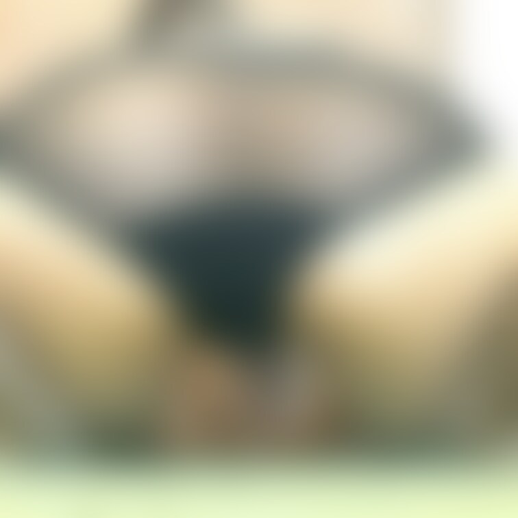 透け透けおぱんつ。
需要ある？🥺