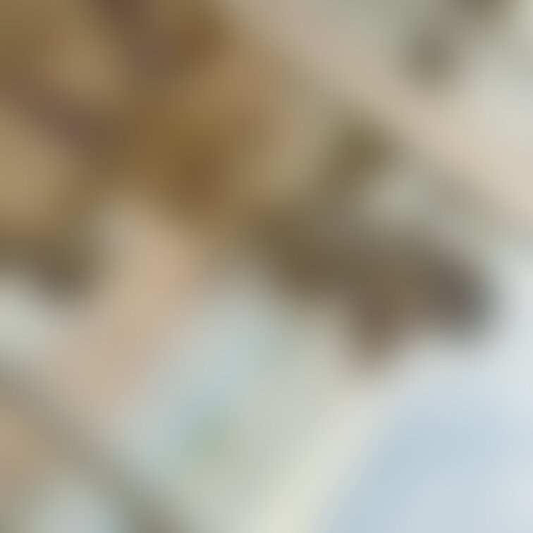 
7月〜８月は全部で７作品の新作（グッズ含む）を作成しているので、支援サイトの投稿が出来なくてすみません😭💦

今