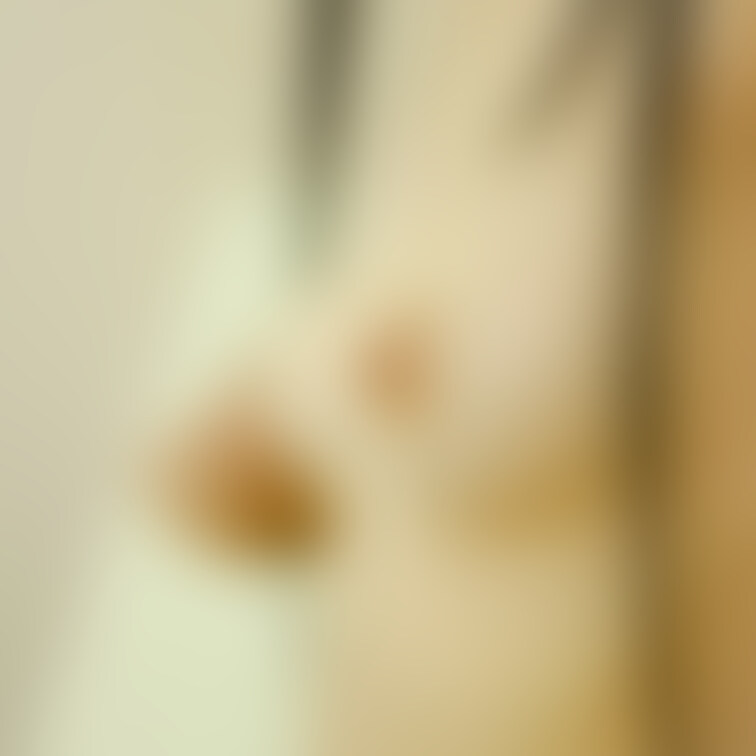 形よい少女の様なおっぱい
繊細な黒髪を添えて