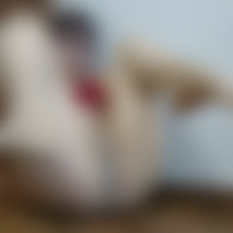 満ぐり返しでストッキング越しにクンクンされたりビリビリに破かれてでもあそこだけはなかなか舐めてくれなかったりとか好きです