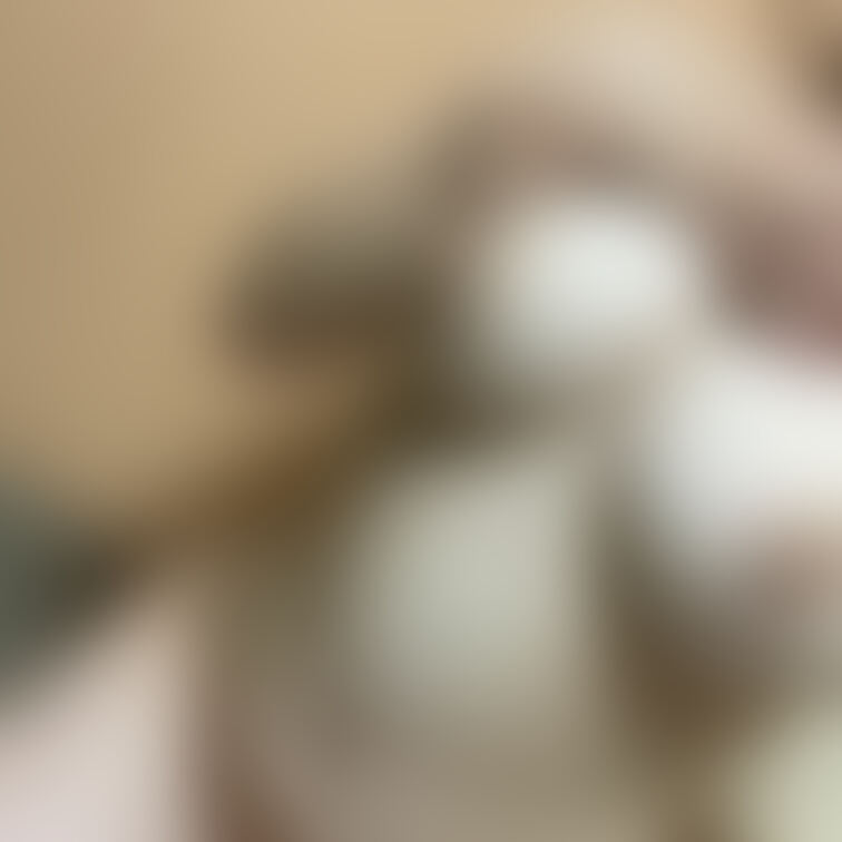 こんばんは🐶

今日のヌード写真です〜
もうすぐ12月、一年あっという間ですね💦🥺