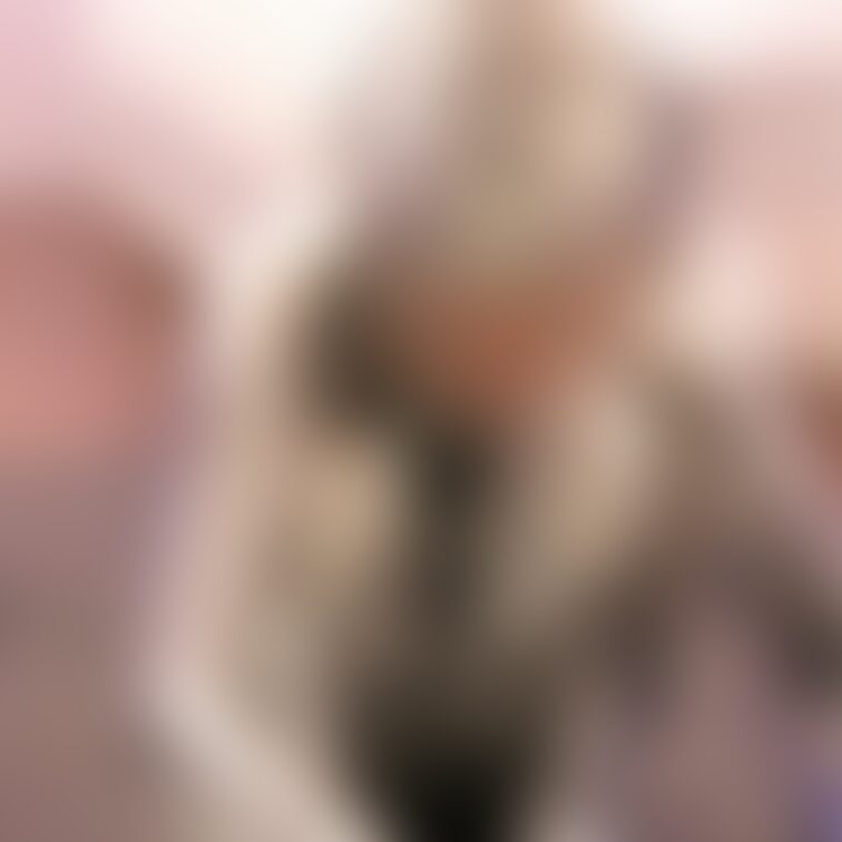 【美少女銀粉モデル】
 スレンダーのアイドル級モデルが銀粉まみれになってくれました！
 最初は髪を銀色にするのも嫌が