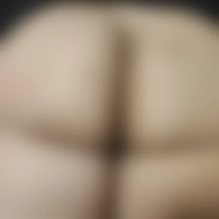 お尻写真14です