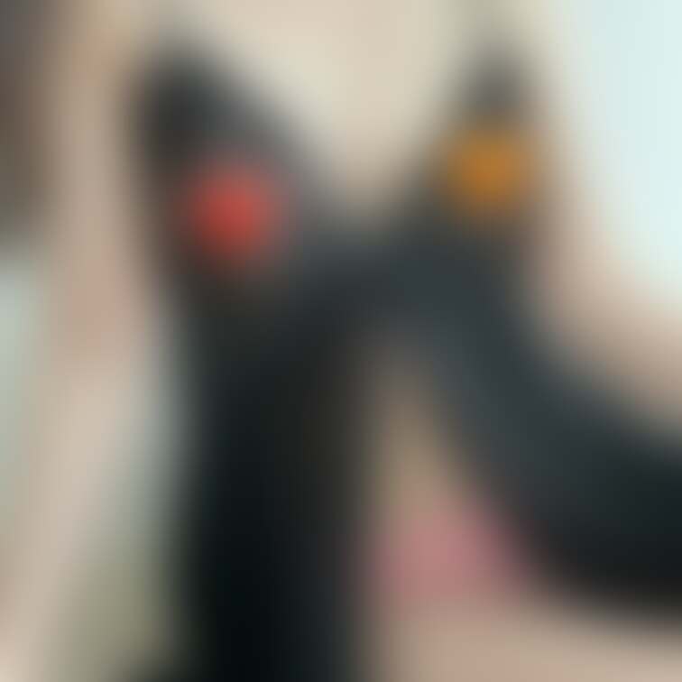 こんばんにあ🥰

今週も仲良くしてね☺️


この黒い下着、どのくらい透けてるか、

確認してくれる？💓💓