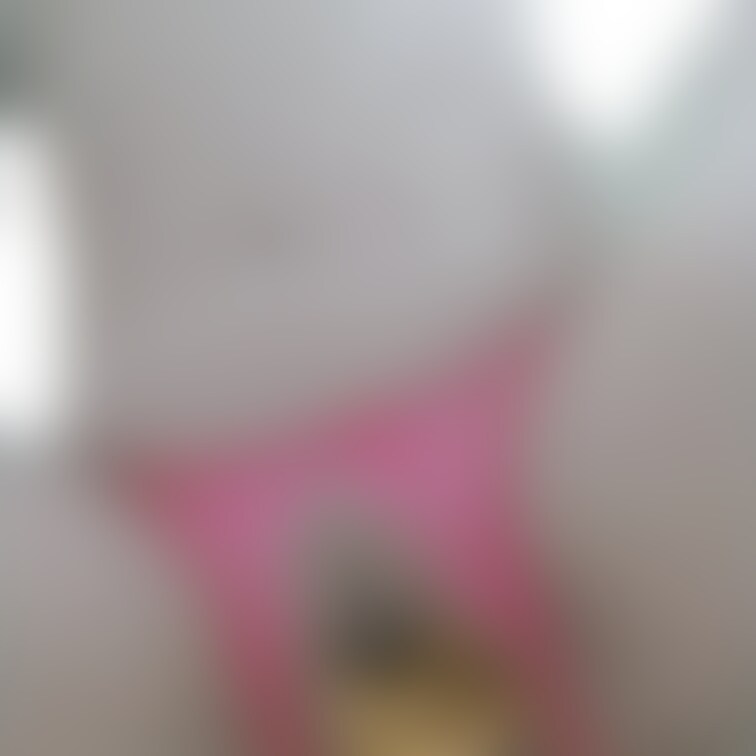ぽちゃってるけど、この時よりも今の方が太ってる気がします🙄
持ってる中で1番 守備力の低い下着です