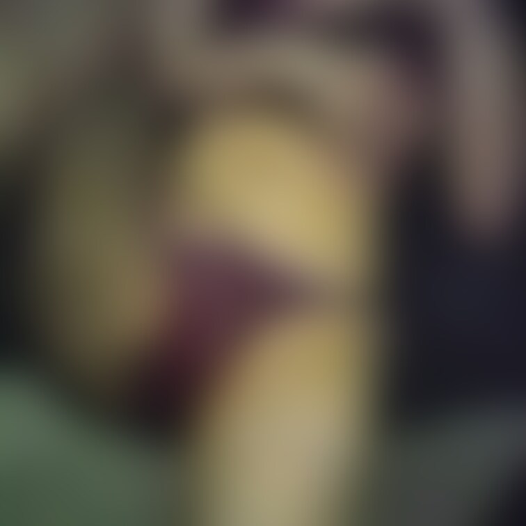 いっぱい甘やかしてほしい
