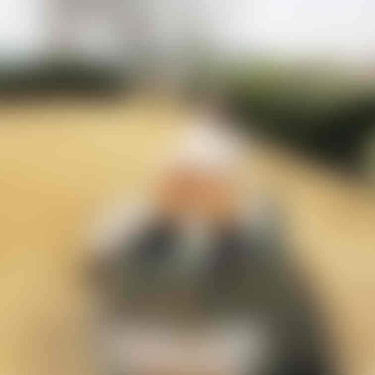 いい天気の日に