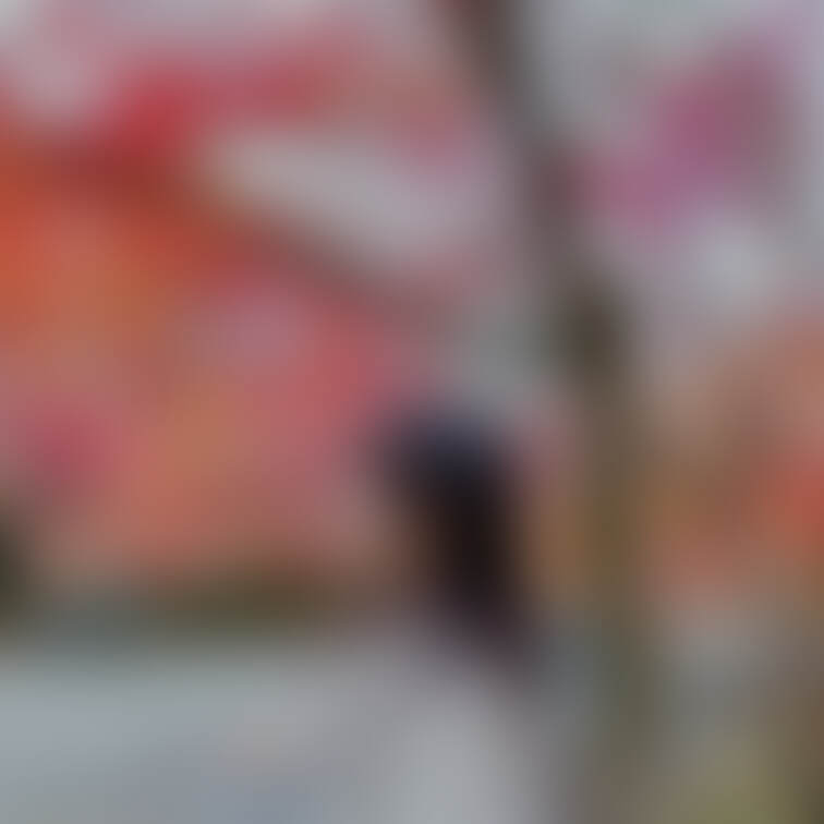 紅葉のお写真、Lightroomで編集してみました！

普通のアプリよりちょっと複雑だけど
エモい感じになってませ