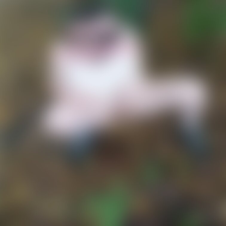 野外放尿まっすぐ飛んでました(*°∀°)=3
めちゃくちゃ好き❤️