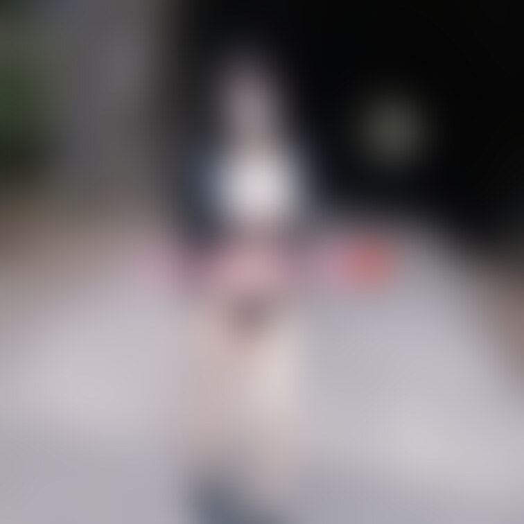 山林露散歩💕 ㊙
💜無しだよぉ~(〃ノωノ)💕
-募集-
お部屋を御用意頂ける…
熟女好きでプレイ💗撮影