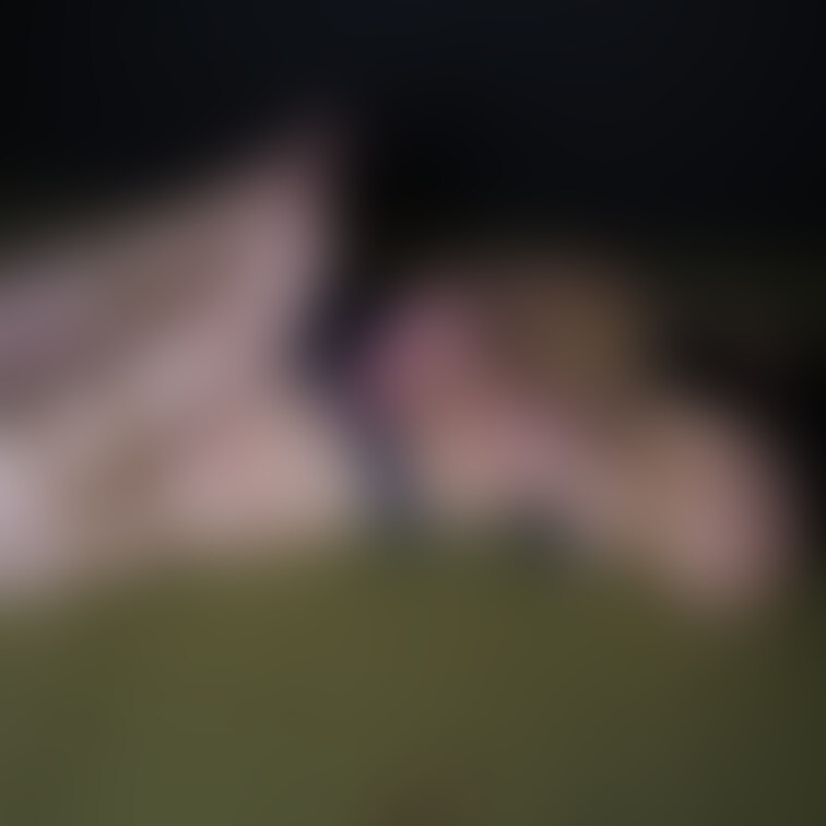 あちこち○○○束して飛翔の準備